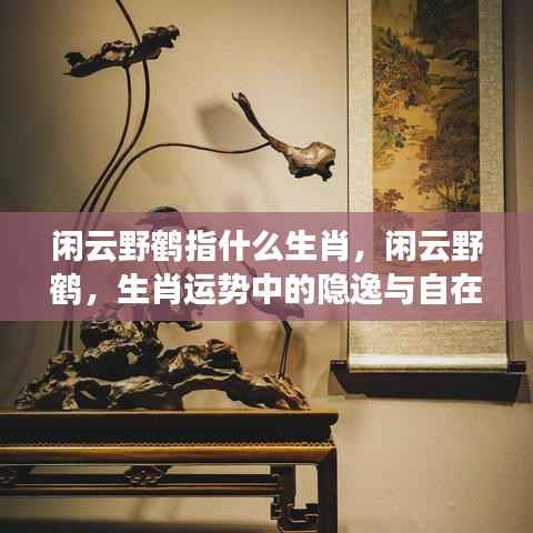 闲云野鹤与生肖运势,隐逸自在的生肖解读