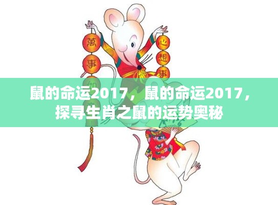 探寻生肖鼠在2017年的运势奥秘,命运展望与运势探寻