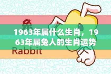 岁月静好,揭秘属兔人在1963年的生肖运势与机遇挑战并存的一年