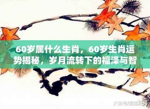 岁月流转下的福泽与智慧,揭秘60岁生肖运势与生肖属性解析