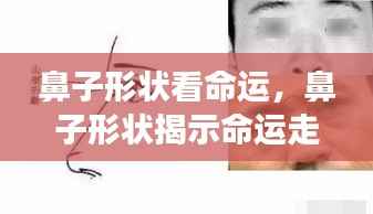 鼻子形状揭示命运走势,星象与面相的奥秘交汇点探寻