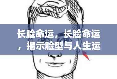 长脸命运,长脸命运,揭示脸型与人生运势的微妙关联