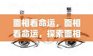 面相与命运的微妙联系,探索面相在人生轨迹中的影响