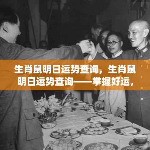 生肖鼠明日运势详解,把握好运,迎接全新一天的挑战