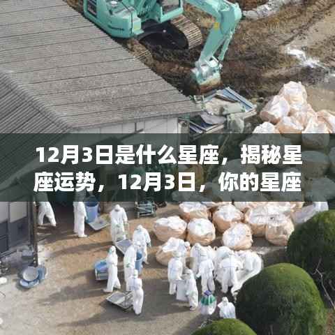 揭秘12月3日星座运势,你的星座运势如何?