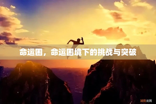 命运困境下的挑战与突破之路