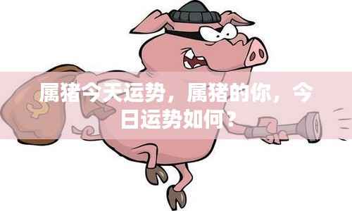 属猪今日运势详解，运势分析助你把握好运！