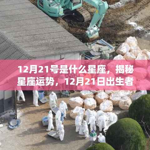 揭秘星座运势,12月21日出生者的星座奥秘与运势分析