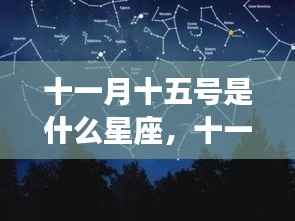 十一月十五日星座运势解析,探寻天蝎座神秘魅力与运势走向