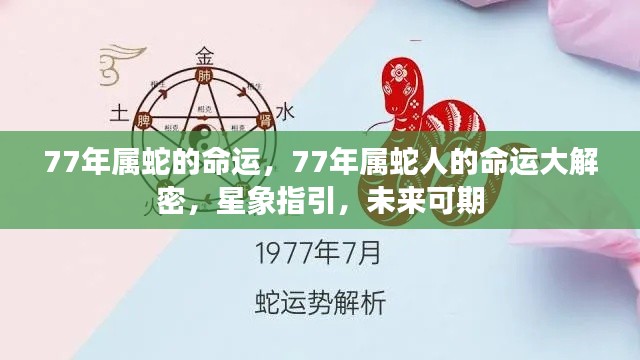 揭秘1977年属蛇人的命运走向,星象指引下的未来可期