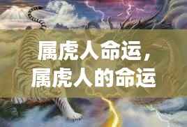 属虎人的命运,星象指引与人生轨迹的交织揭秘