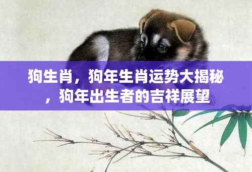 狗生肖运势揭秘,狗年出生者的吉祥展望