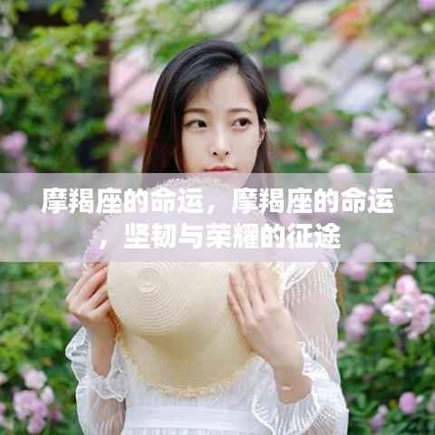 摩羯座的坚韧之路,命运与荣耀的征途