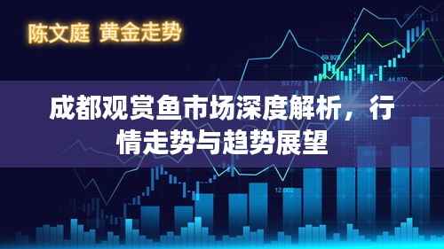 成都观赏鱼市场深度解析，行情走势与趋势展望