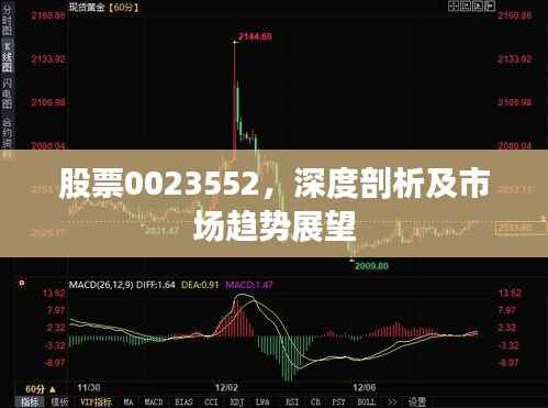 股票0023552,深度剖析及市场趋势展望