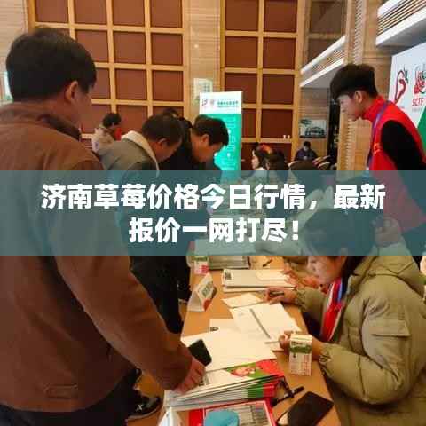 济南草莓价格今日行情,最新报价一网打尽!