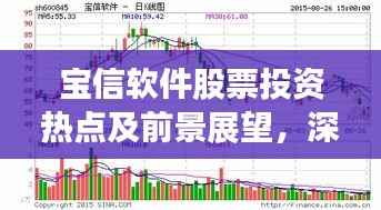 宝信软件股票投资热点及前景展望,深度解析与预测分析