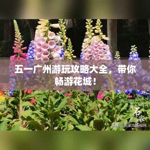 五一广州游玩攻略大全,带你畅游花城!