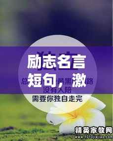 励志名言短句，激发无限潜能的力量