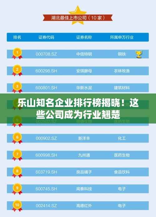 乐山知名企业排行榜揭晓！这些公司成为行业翘楚