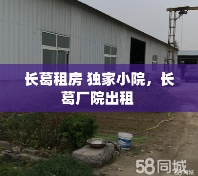 长葛租房 独家小院，长葛厂院出租 