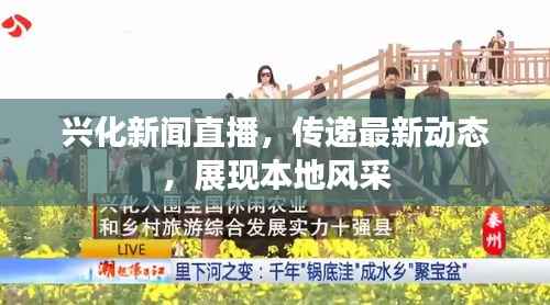 兴化新闻直播,传递最新动态,展现本地风采