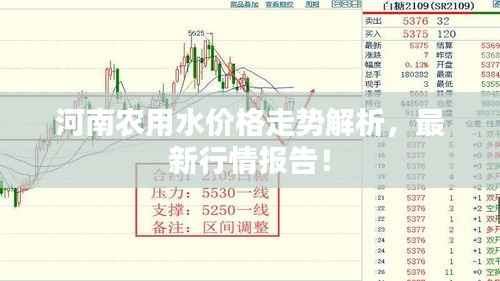 河南农用水价格走势解析，最新行情报告！
