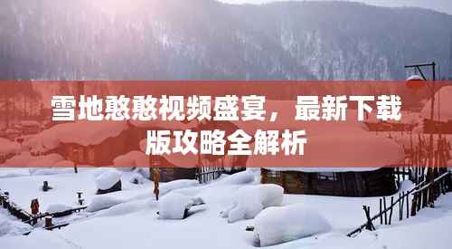 雪地憨憨视频盛宴，最新下载版攻略全解析